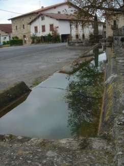 DSC09923.JPG